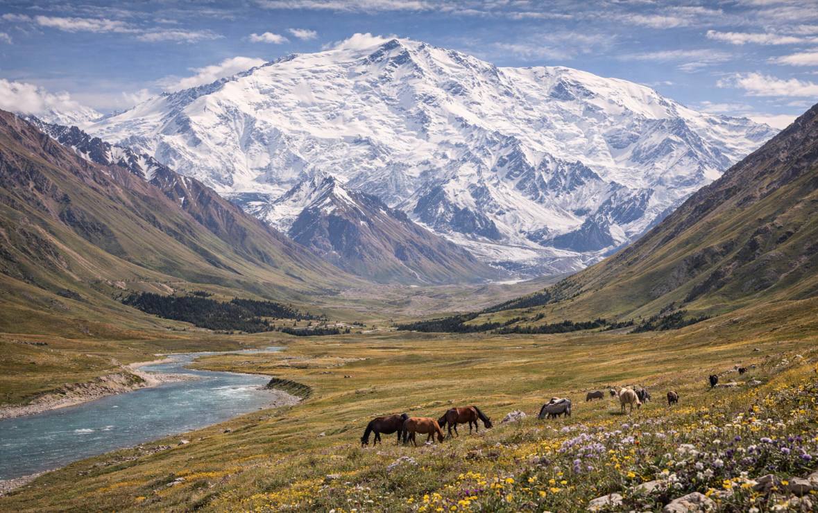 Ошская область